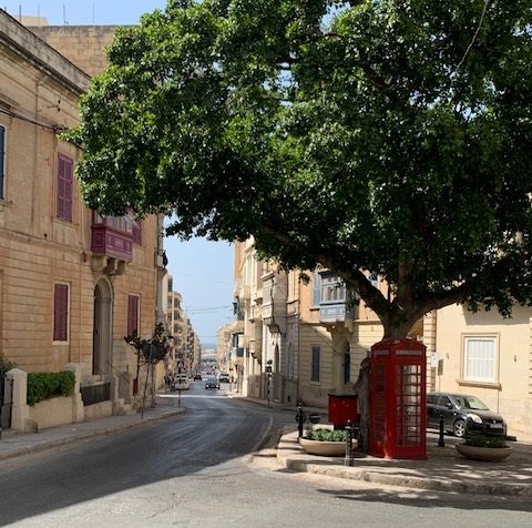 Baum von Malta mit einer roten Telefonzelle