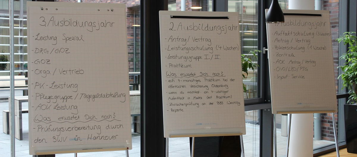 Übersicht der Ausbildung im Bereich Versicherungen und Finanzen