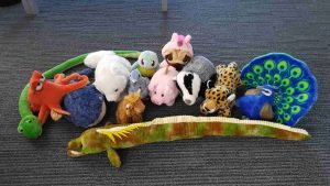 Kuscheltiere der AO-Projekte